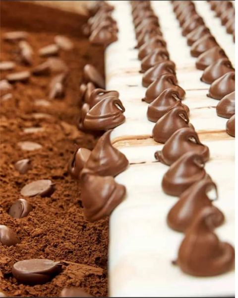 Шоколадные Трюфели Belgian  в какао пудре 200 гр. в магазине ТеаКофее, фото