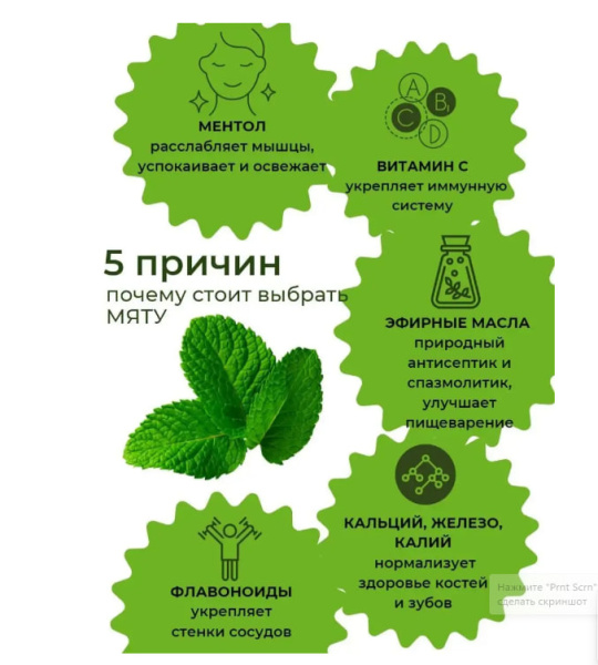 Травяной чай Мята 30 гр. в магазине ТеаКофее, фото